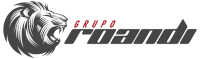 Logo Roandi Team